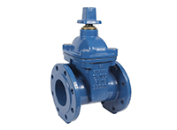 VALVE