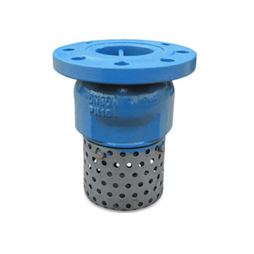 FOOT VALVE
