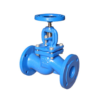 Globe Valve