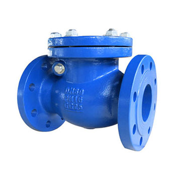 Swing Check Valve